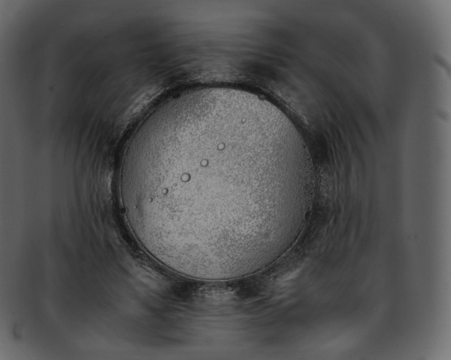 X0000093390491200710191156