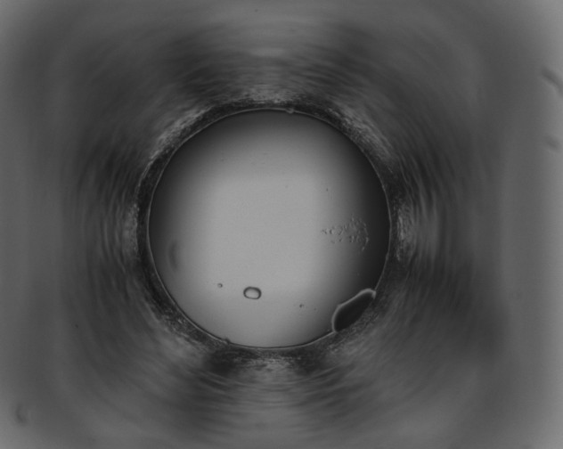 X0000093390492200710191156