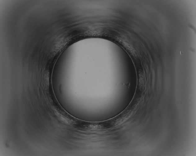 X0000093390493200710191156