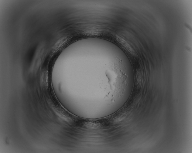 X0000093390494200710191156