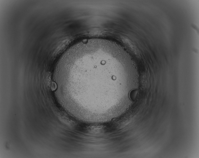 X0000093390495200710191156