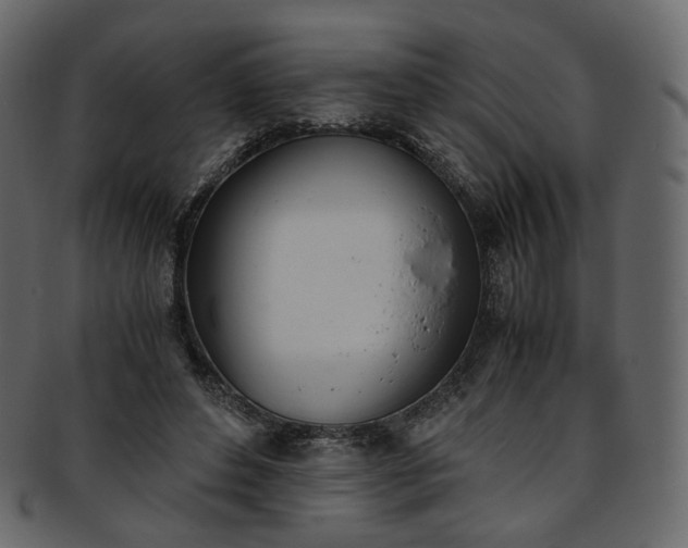 X0000093390496200710191156