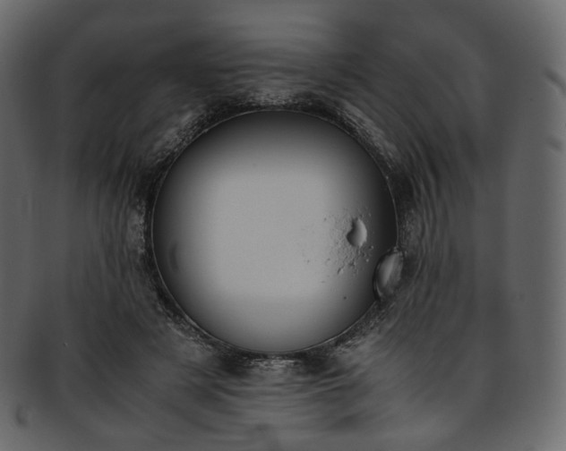 X0000093390497200710191156