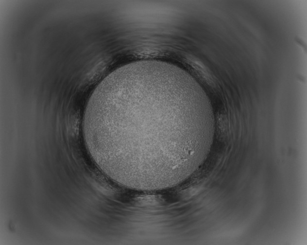 X0000093390499200710191156