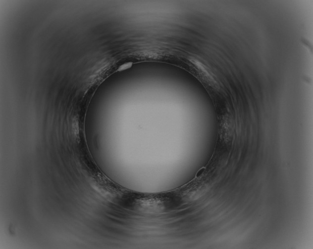 X0000093390500200710191156