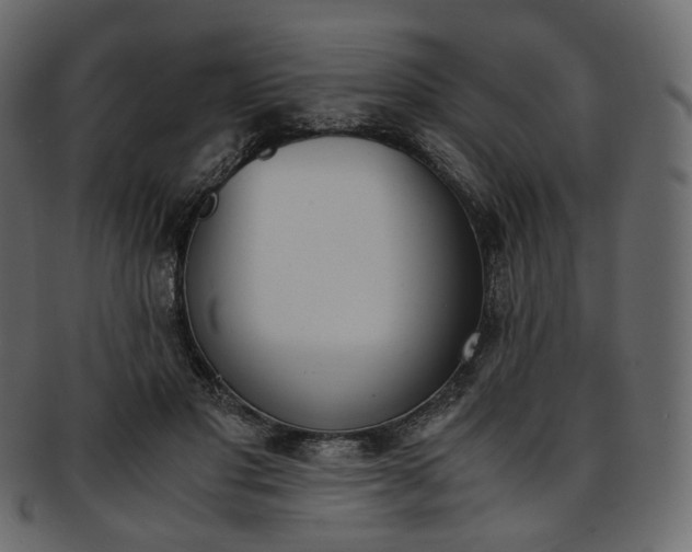 X0000093390501200710191156