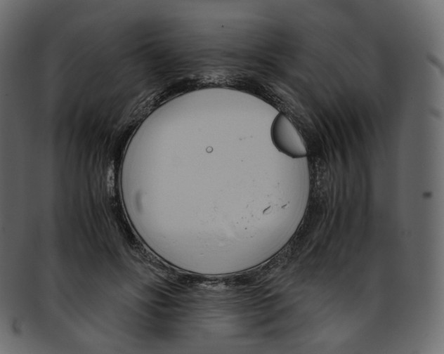 X0000093390502200710191156