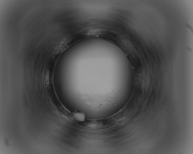 X0000093390504200710191156