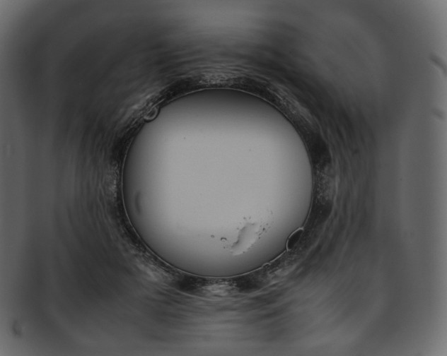 X0000093390505200710191156