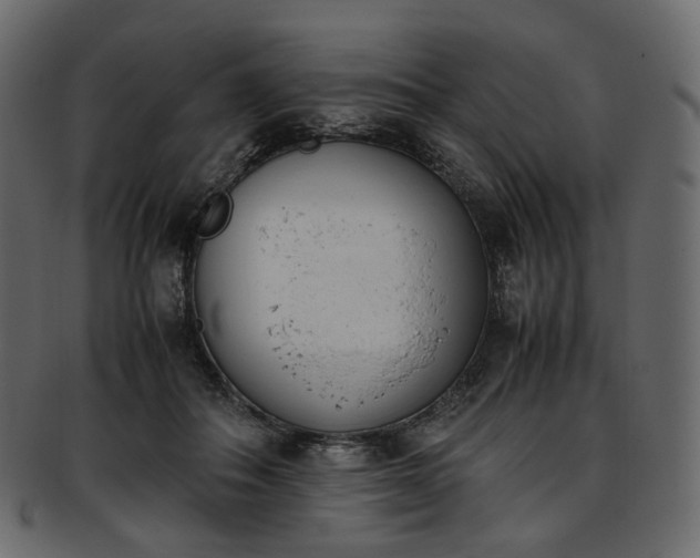 X0000093390506200710191156