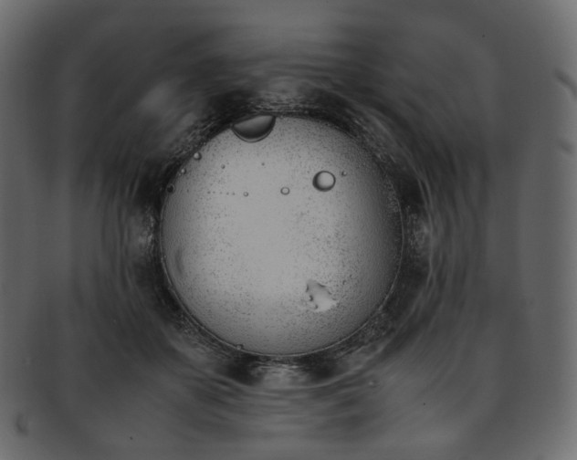 X0000093390507200710191156