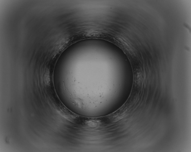 X0000093390508200710191156