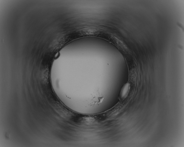 X0000093390509200710191156