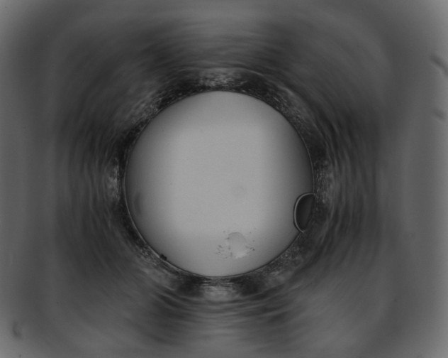 X0000093390510200710191156