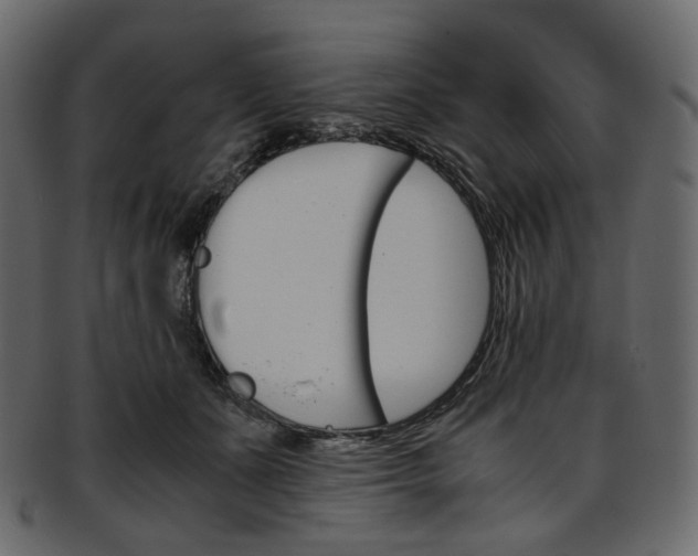 X0000093390511200710191156