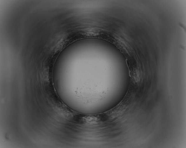 X0000093390512200710191156