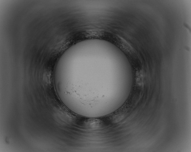 X0000093390514200710191156