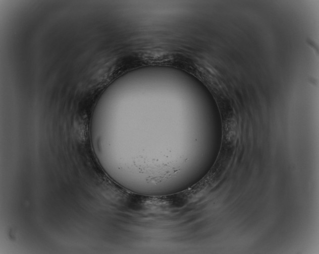 X0000093390515200710191156