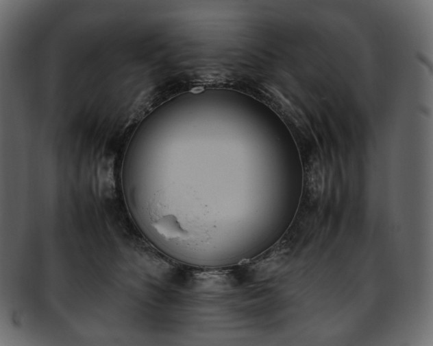 X0000093390516200710191156