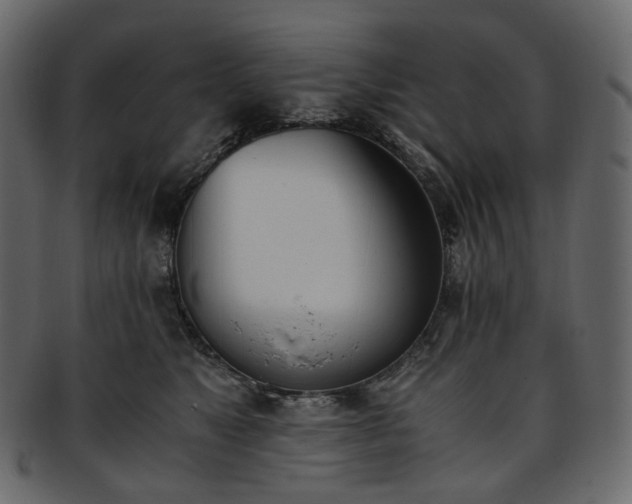 X0000093390517200710191156