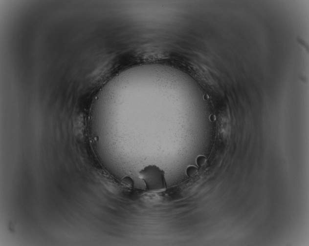 X0000093390519200710191156