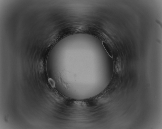 X0000093390520200710191156