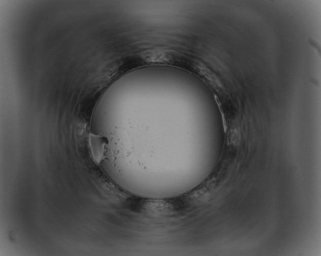 X0000093390521200710191156