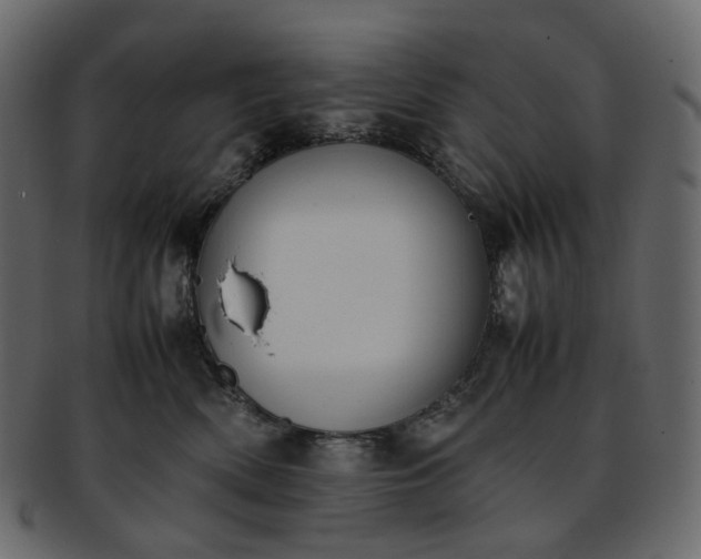 X0000093390522200710191156