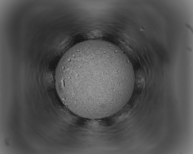 X0000093390523200710191156