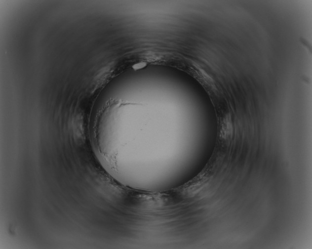 X0000093390524200710191156