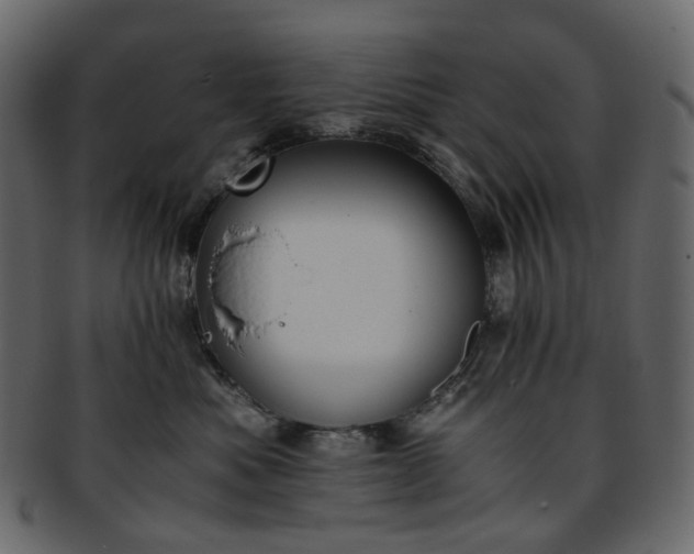 X0000093390525200710191156