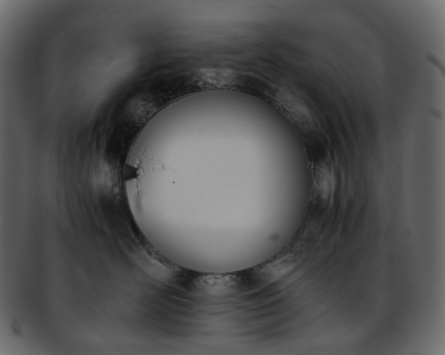 X0000093390526200710191156