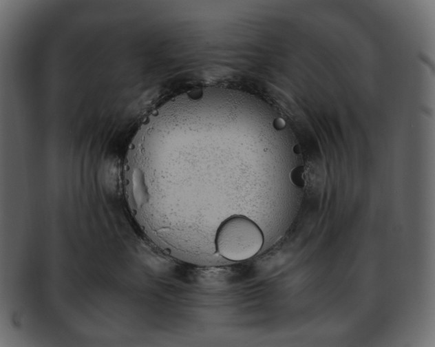 X0000093390527200710191156