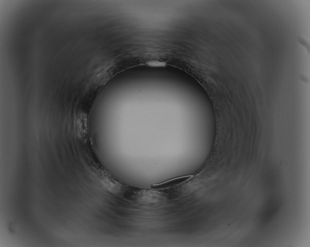 X0000093390528200710191156