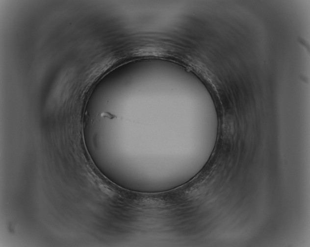 X0000093390529200710191155