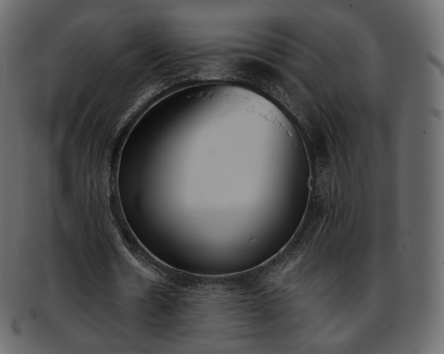 X0000093390530200710191155