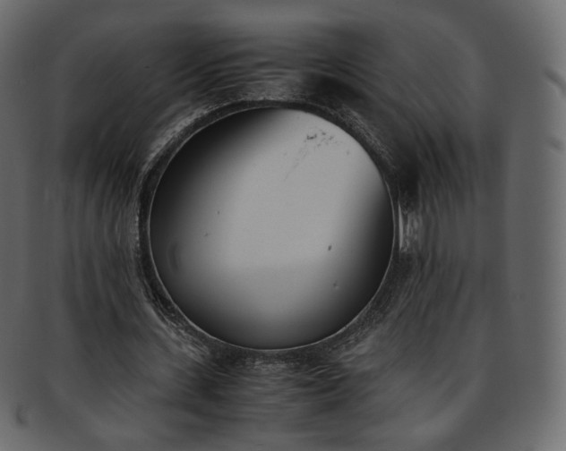 X0000093390531200710191155