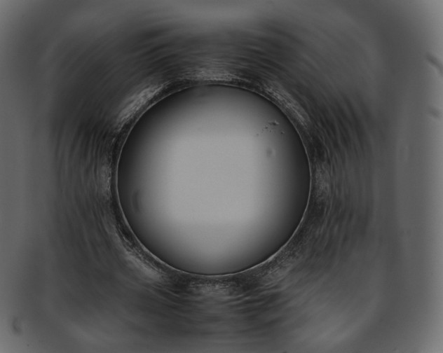 X0000093390533200710191155