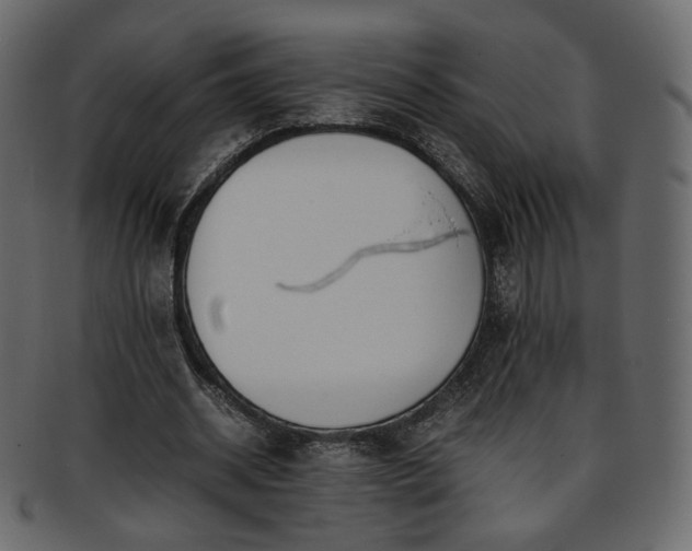 X0000093390534200710191156