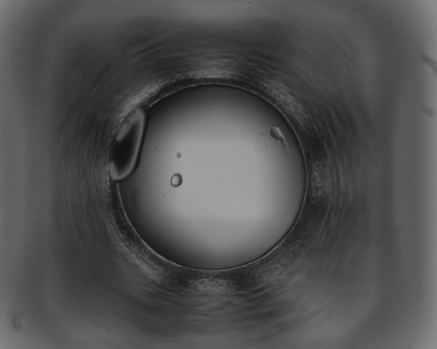 X0000093390535200710191156