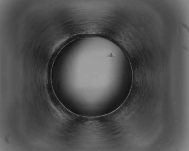 X0000093390536200710191156