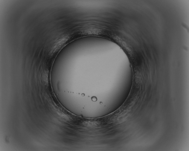 X0000093390537200710191156