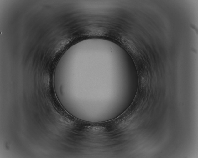 X0000093390539200710191156