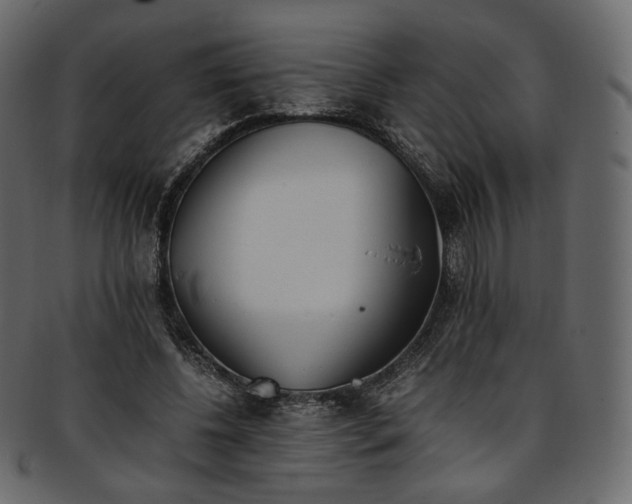 X0000093390540200710191156