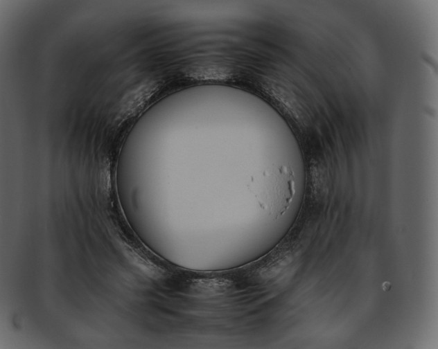 X0000093390541200710191156