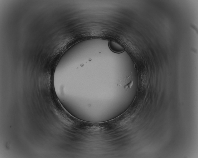 X0000093390542200710191156