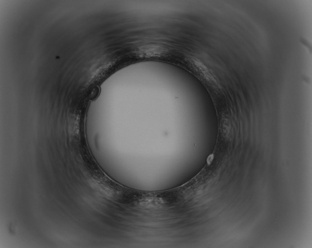 X0000093390543200710191156