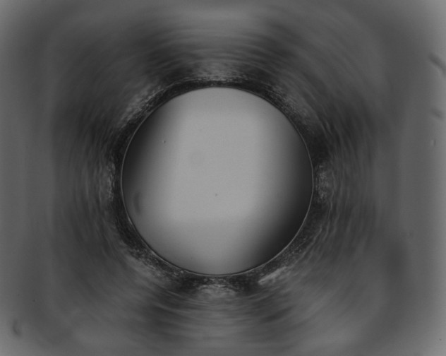 X0000093390544200710191156