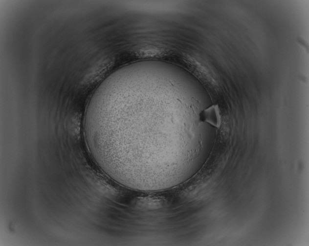 X0000093390545200710191156