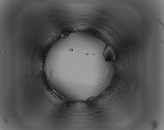 X0000093390546200710191156